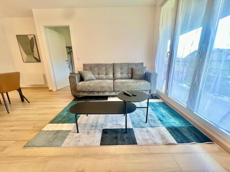 T3 Carducci Terrasse Apartman Bonneville Kültér fotó